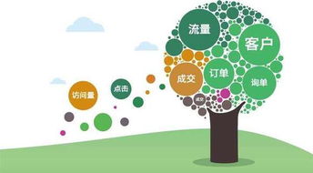 網站設計與軟件開發的系統性步驟