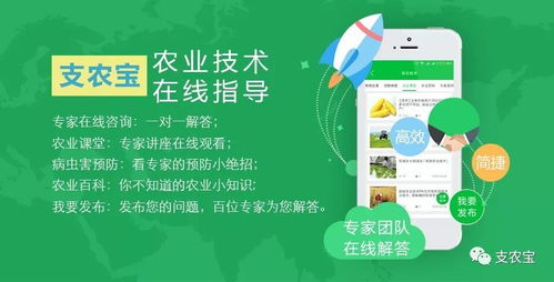 農(nóng)業(yè)技術(shù)推廣與軟件開發(fā) 一場數(shù)字時(shí)代的持久戰(zhàn)